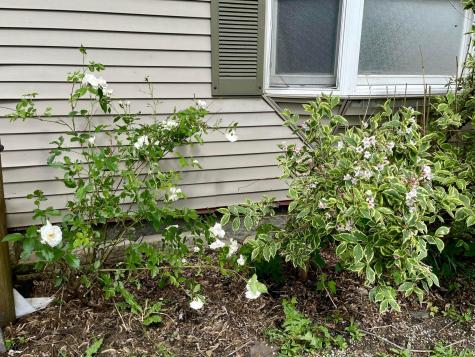 642 Main Street Old Town ME 04468