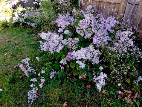 29 15th Street Old Orchard Beach ME 04064