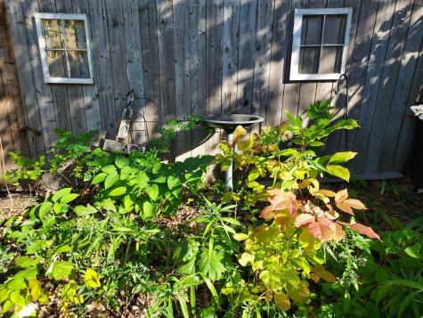 29 15th Street Old Orchard Beach ME 04064