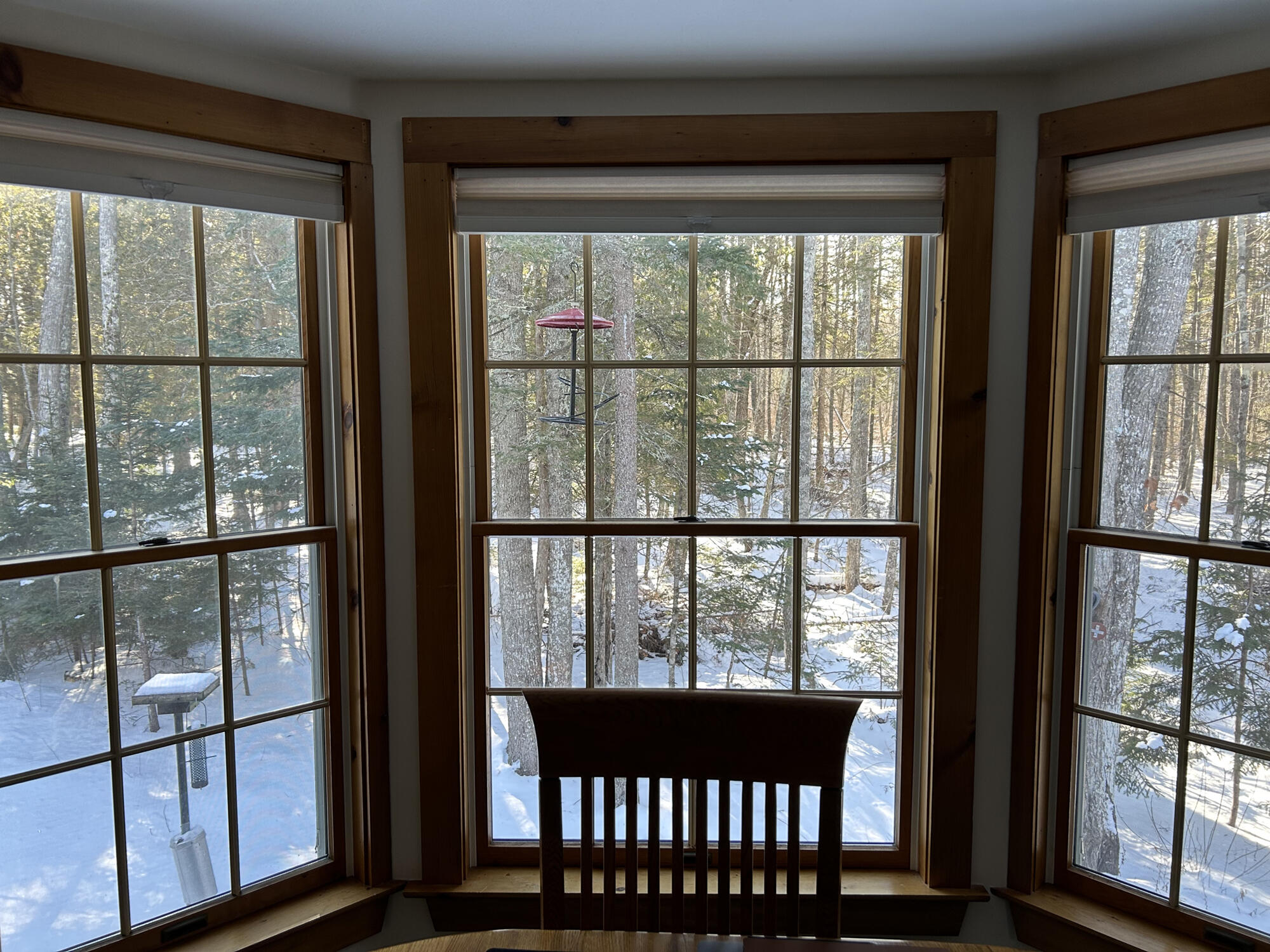 43 Oak Drive Northport ME 04849