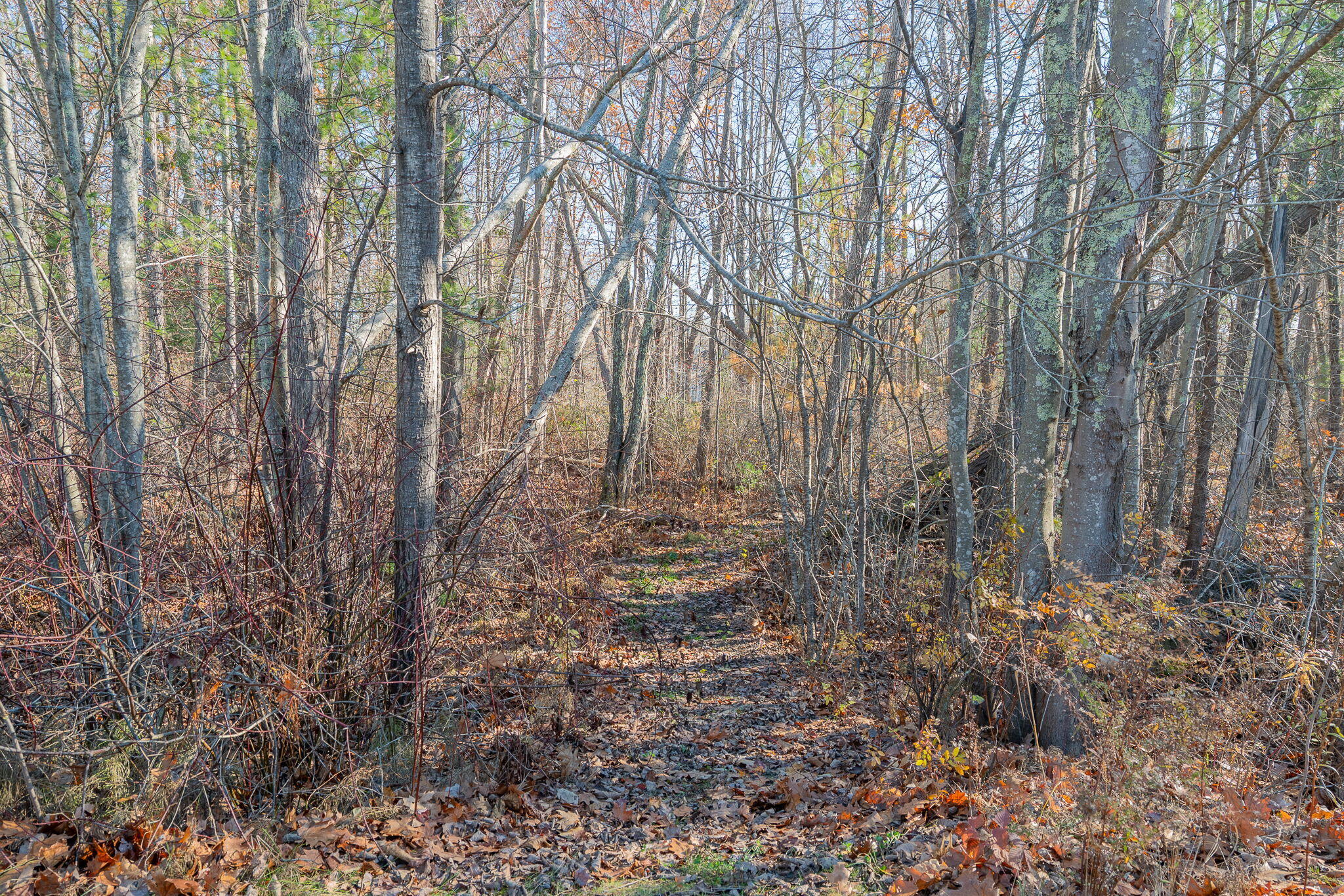 16 Veronica Lane Falmouth ME 04105