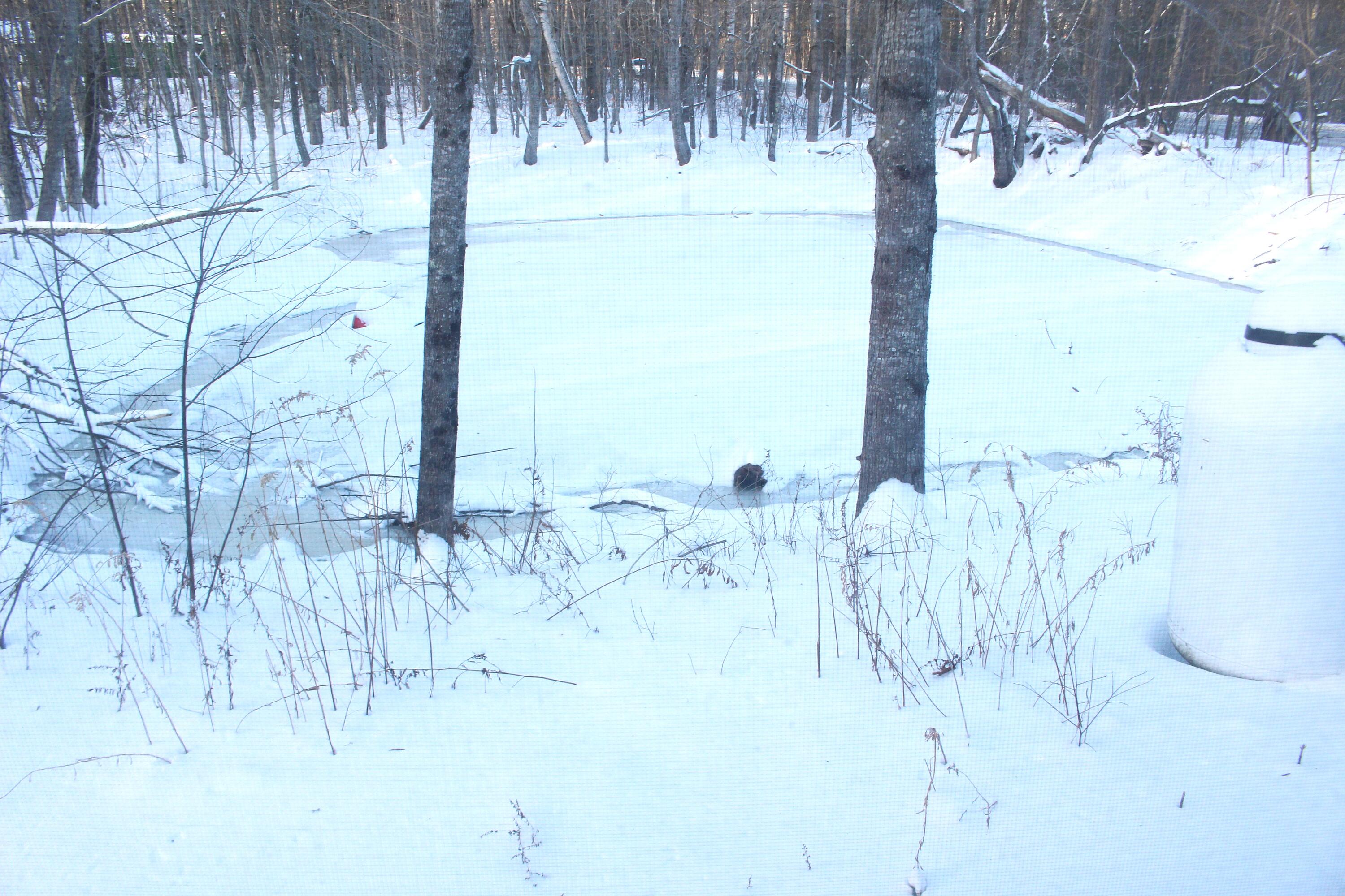 810 Rockland Street Rockport ME 04856