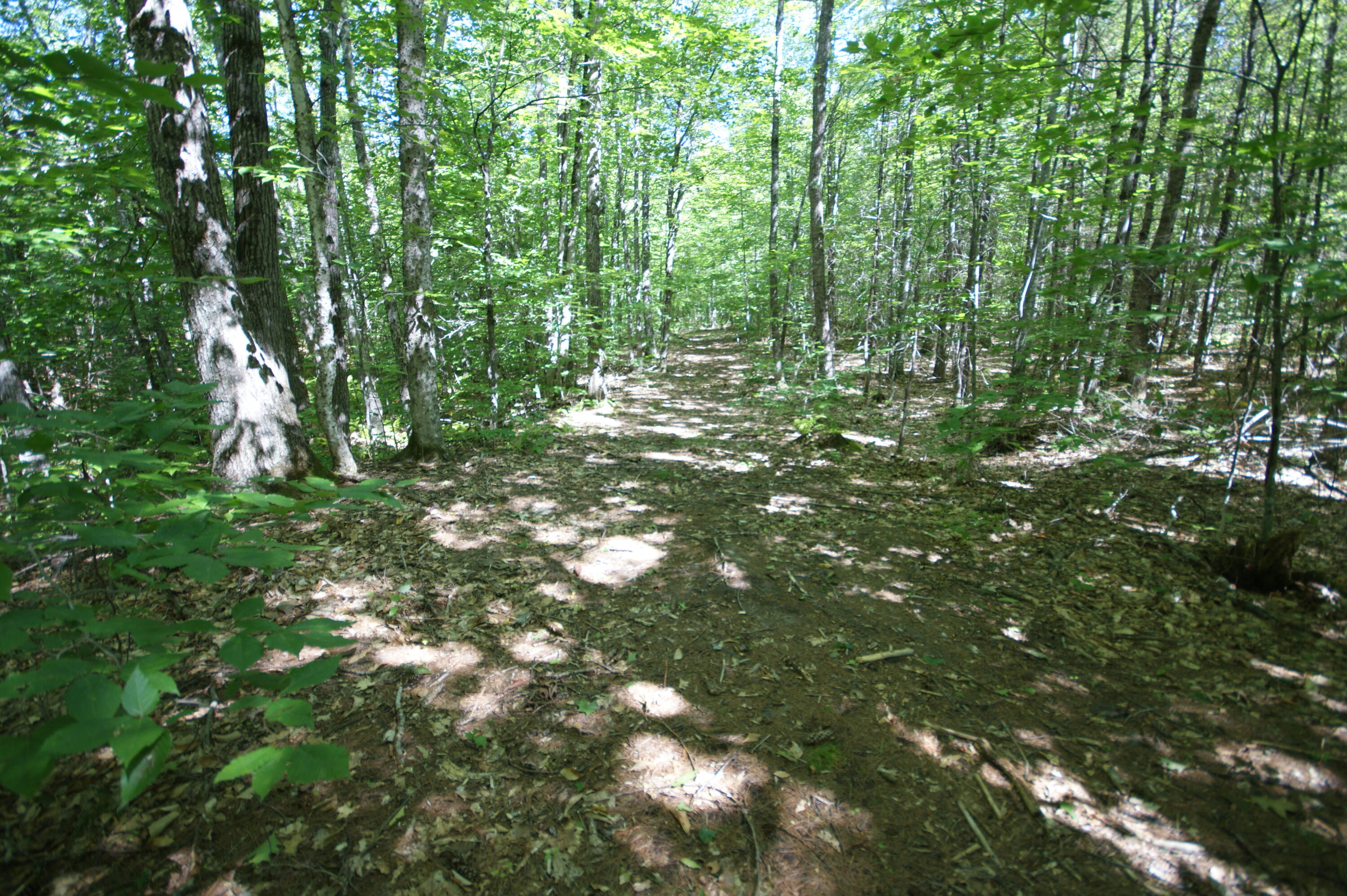 795 Knights Hill Road Sweden ME 04040