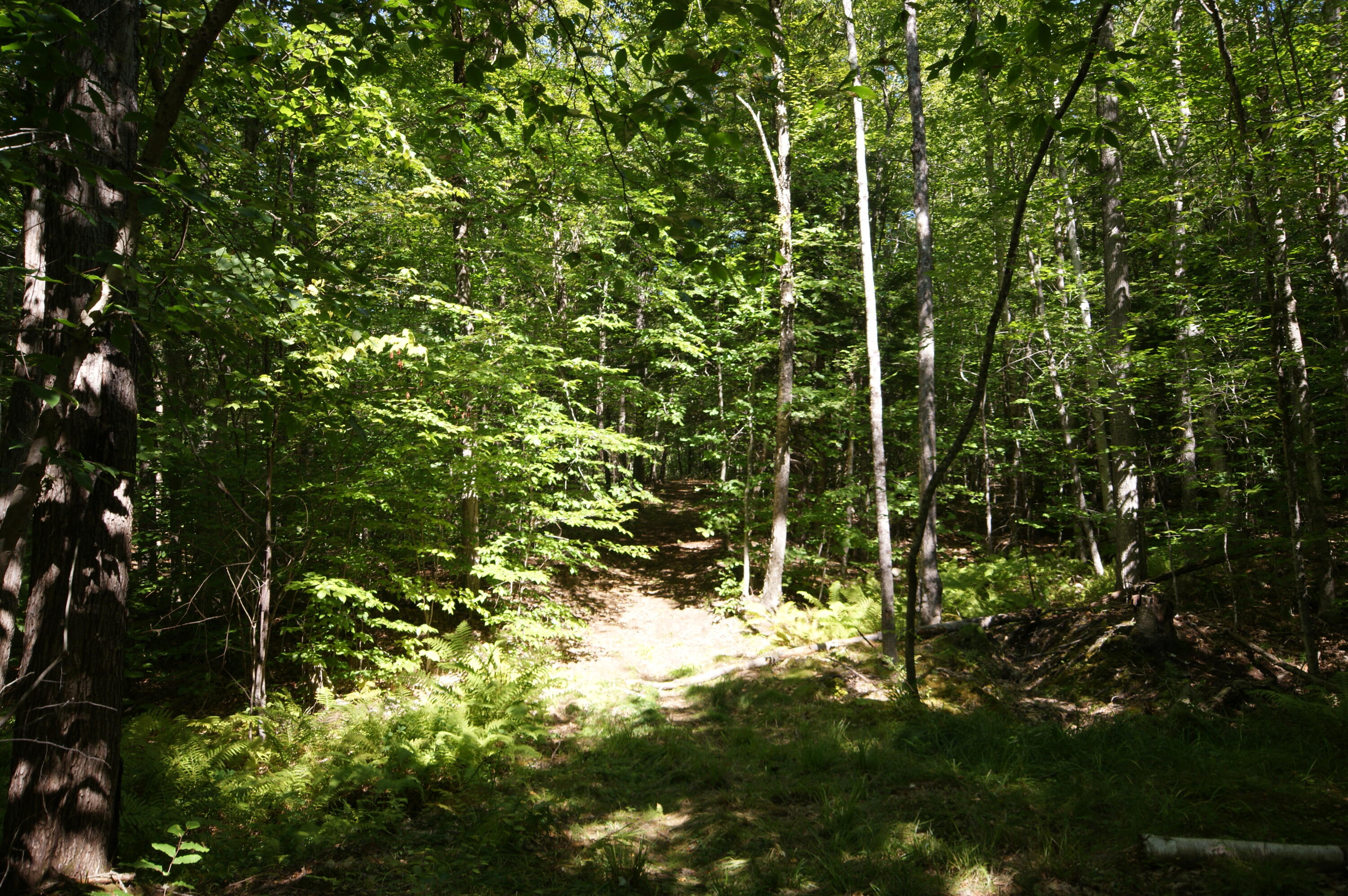 795 Knights Hill Road Sweden ME 04040