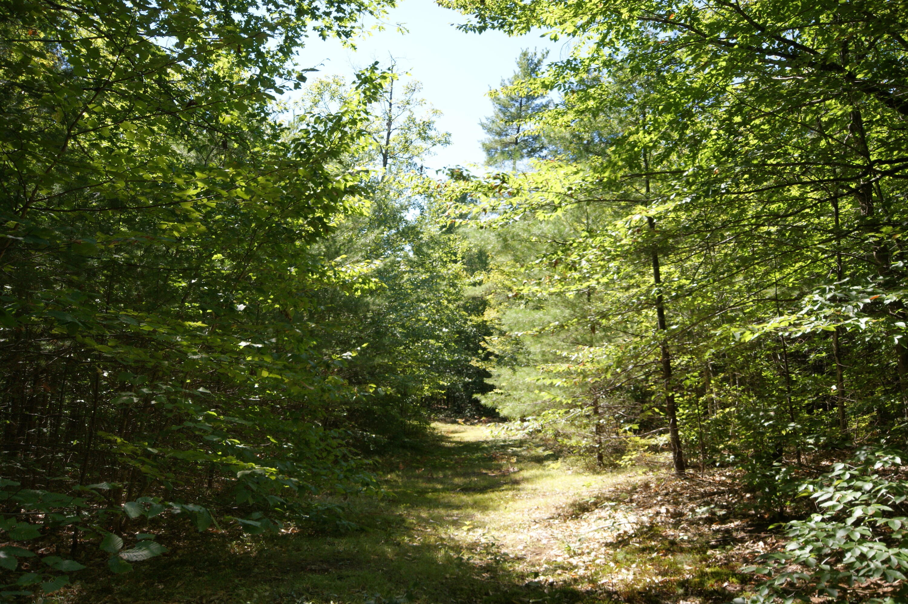 795 Knights Hill Road Sweden ME 04040