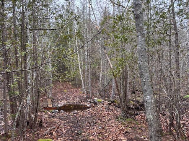 1008 West Bay Road Gouldsboro ME 04607