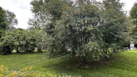 9 Gould Avenue Dexter ME 04930