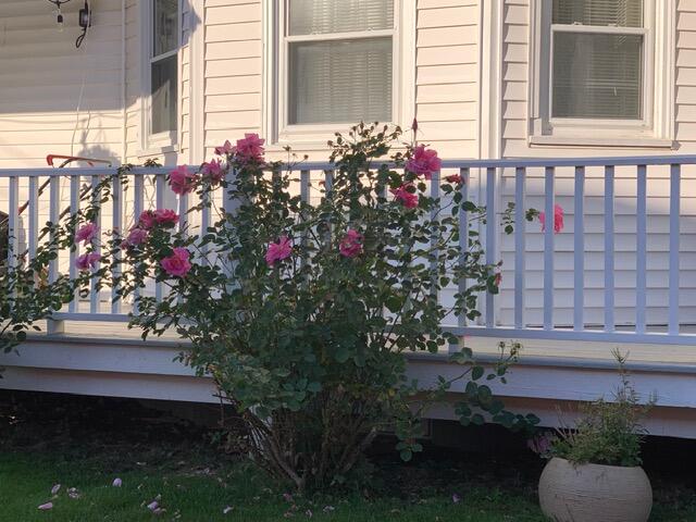 79 Park Street Rockland ME 04841