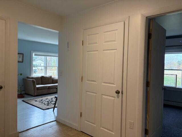 50 Blackwoods Road Franklin ME 04634