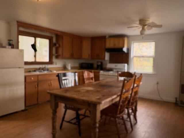 50 Blackwoods Road Franklin ME 04634