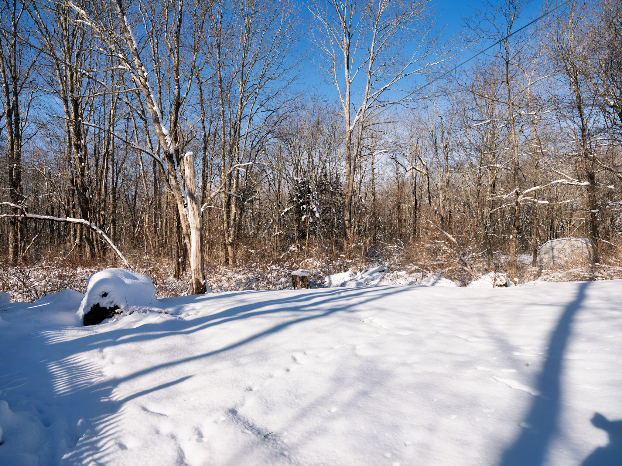 56 Booker Street Thomaston ME 04861