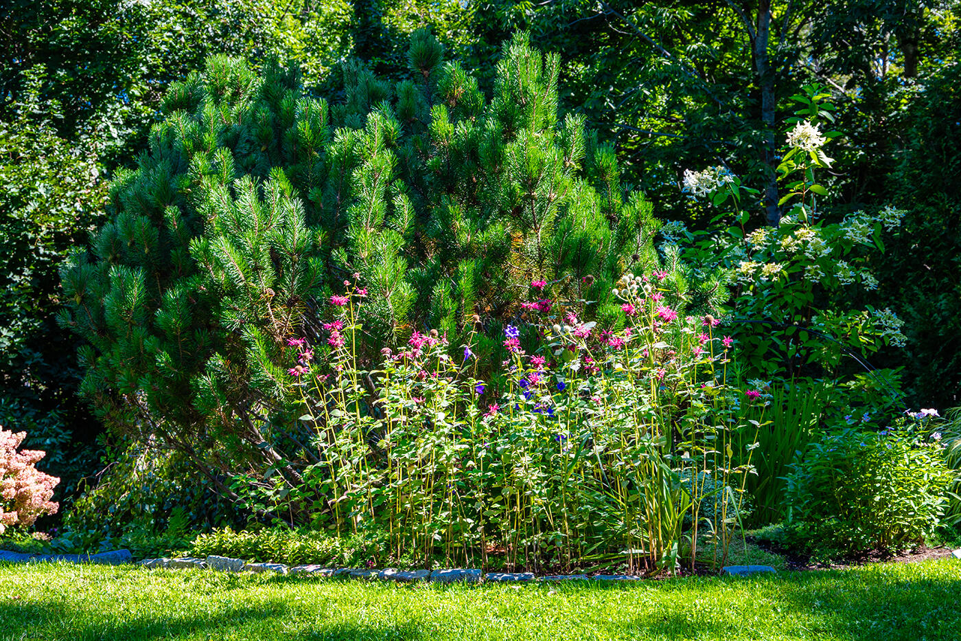 21 Penobscot Avenue Camden ME 04843