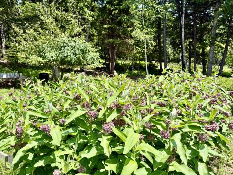 286 Calderwood Neck Road Vinalhaven ME 04863