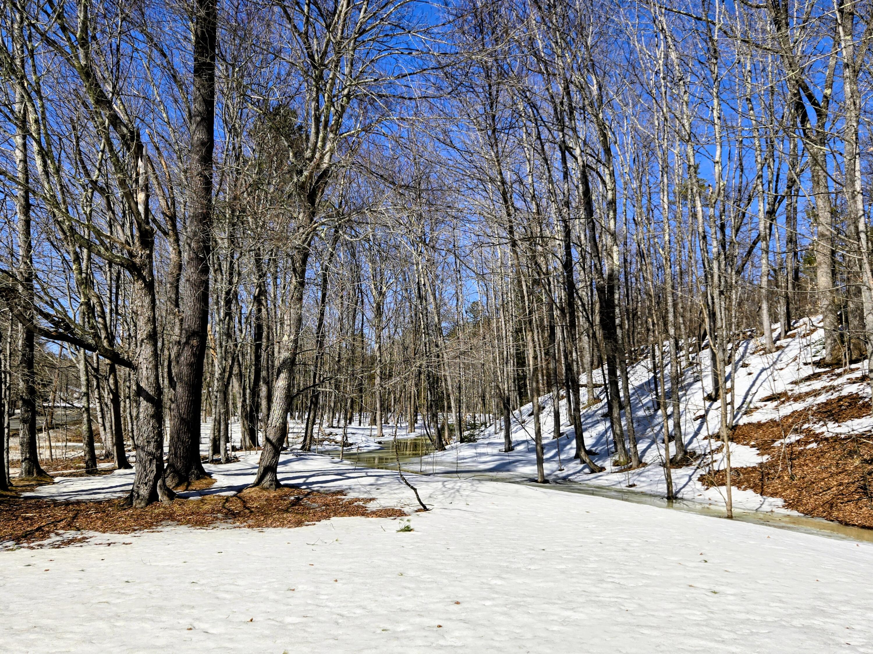 372 River Road Avon ME 04966