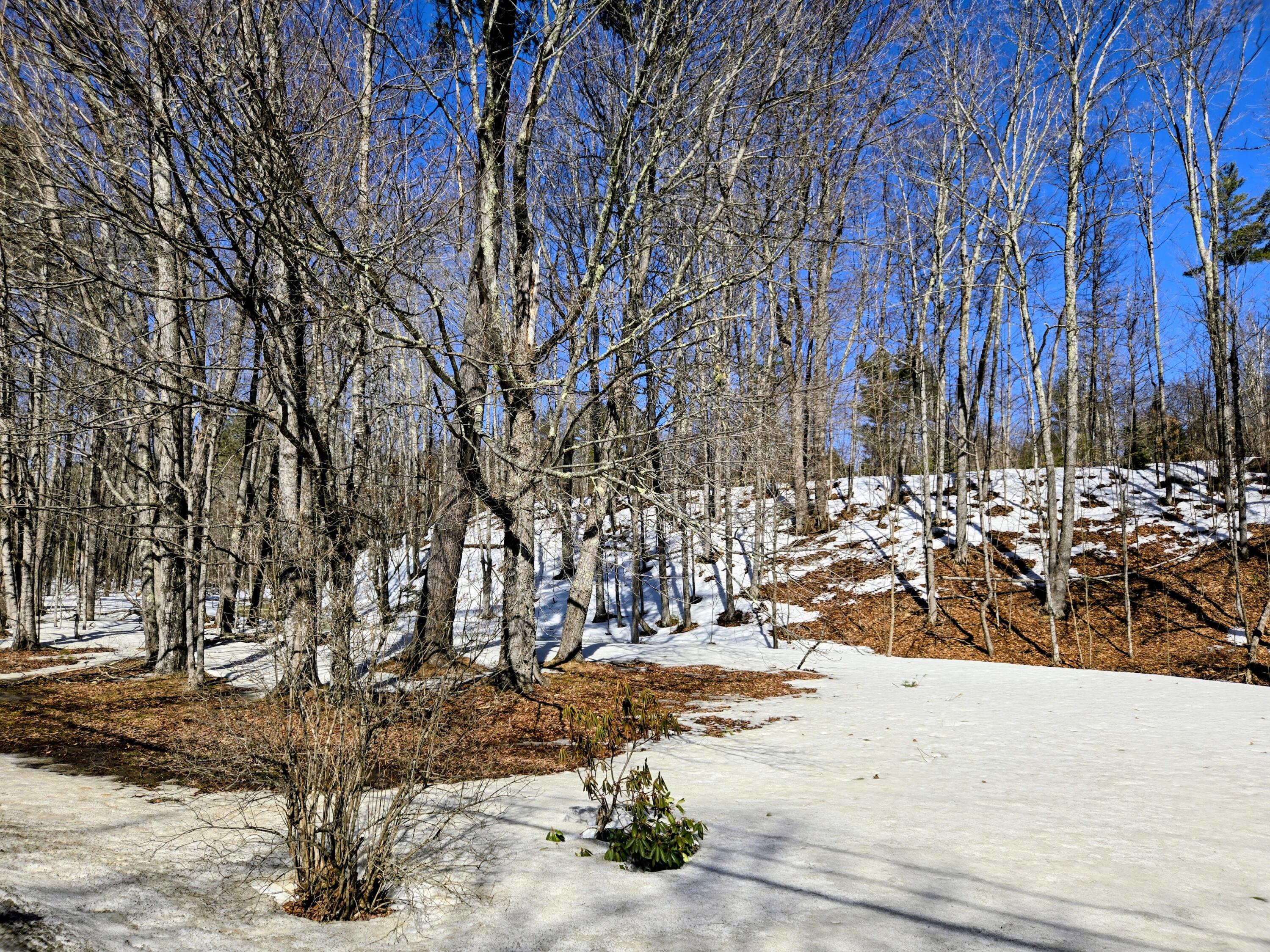 372 River Road Avon ME 04966