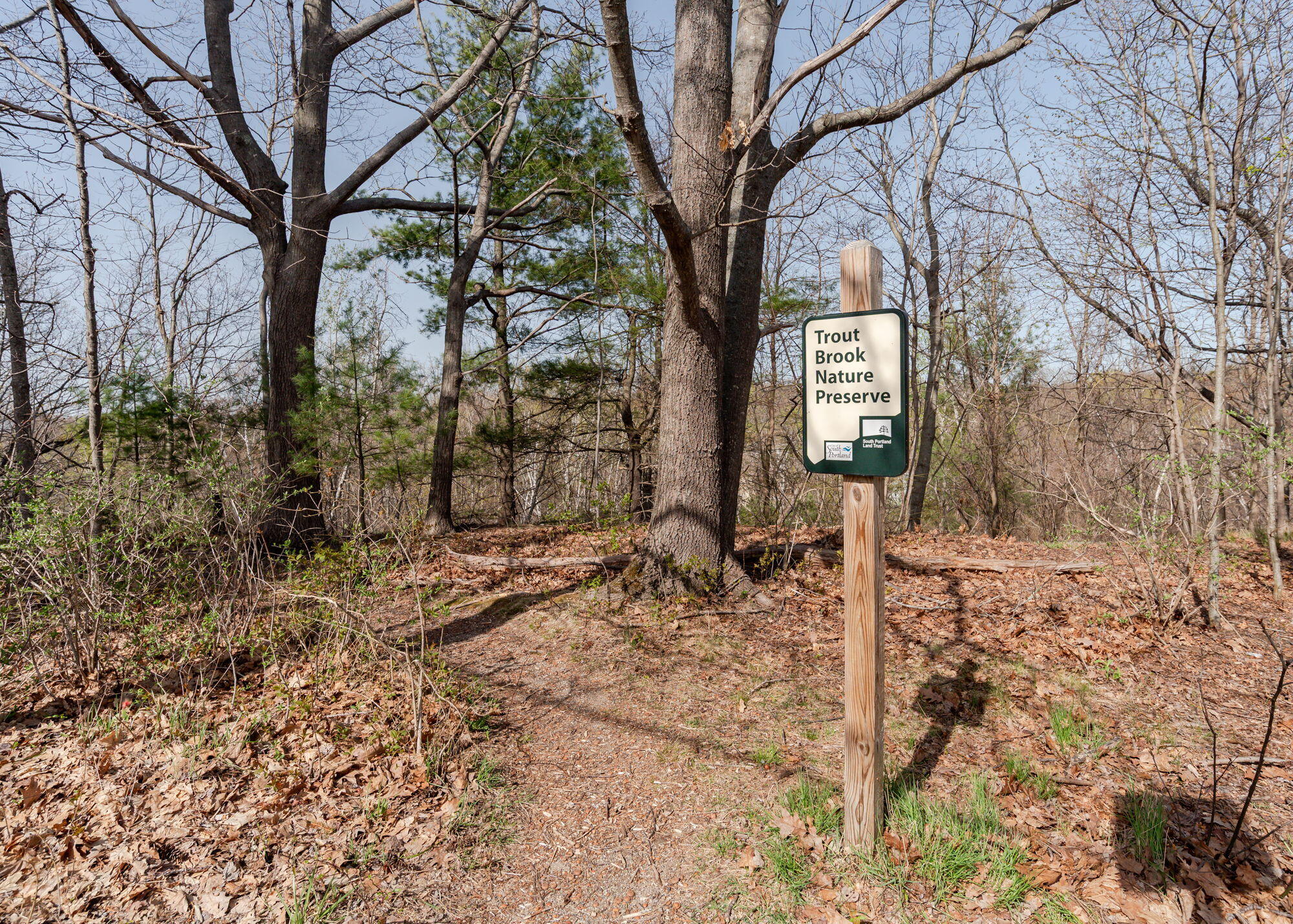 75 Parrott Street South Portland ME 04106