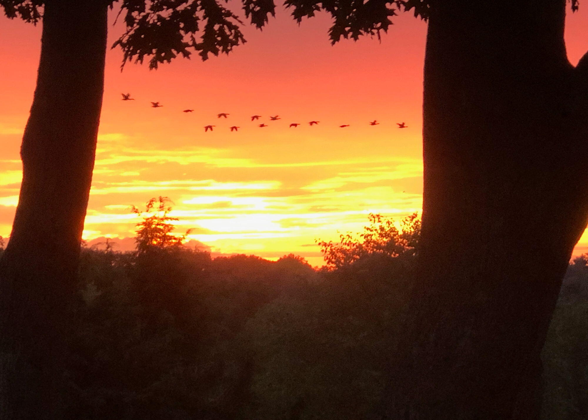 75 Parrott Street South Portland ME 04106