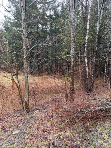 932 Tibbetstown Road Columbia Falls ME 04623