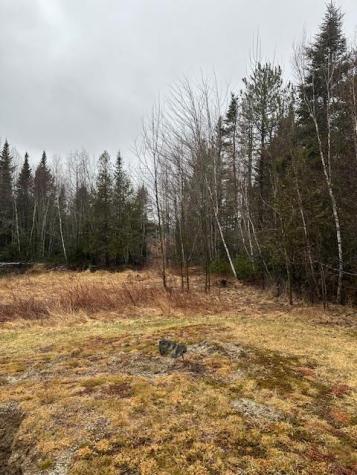 932 Tibbetstown Road Columbia Falls ME 04623