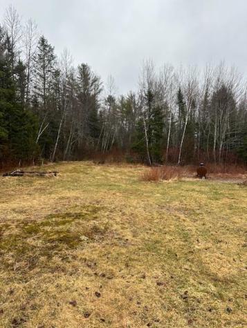 932 Tibbetstown Road Columbia Falls ME 04623