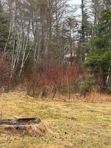 932 Tibbetstown Road Columbia Falls ME 04623