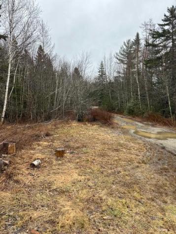 932 Tibbetstown Road Columbia Falls ME 04623