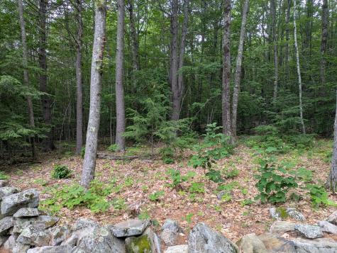 17 Doris Lane Parsonsfield ME 04047