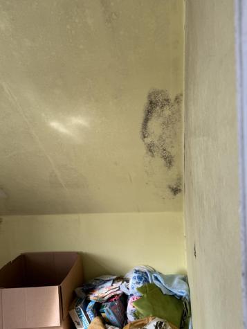 29 Broadway Street Machias ME 04654