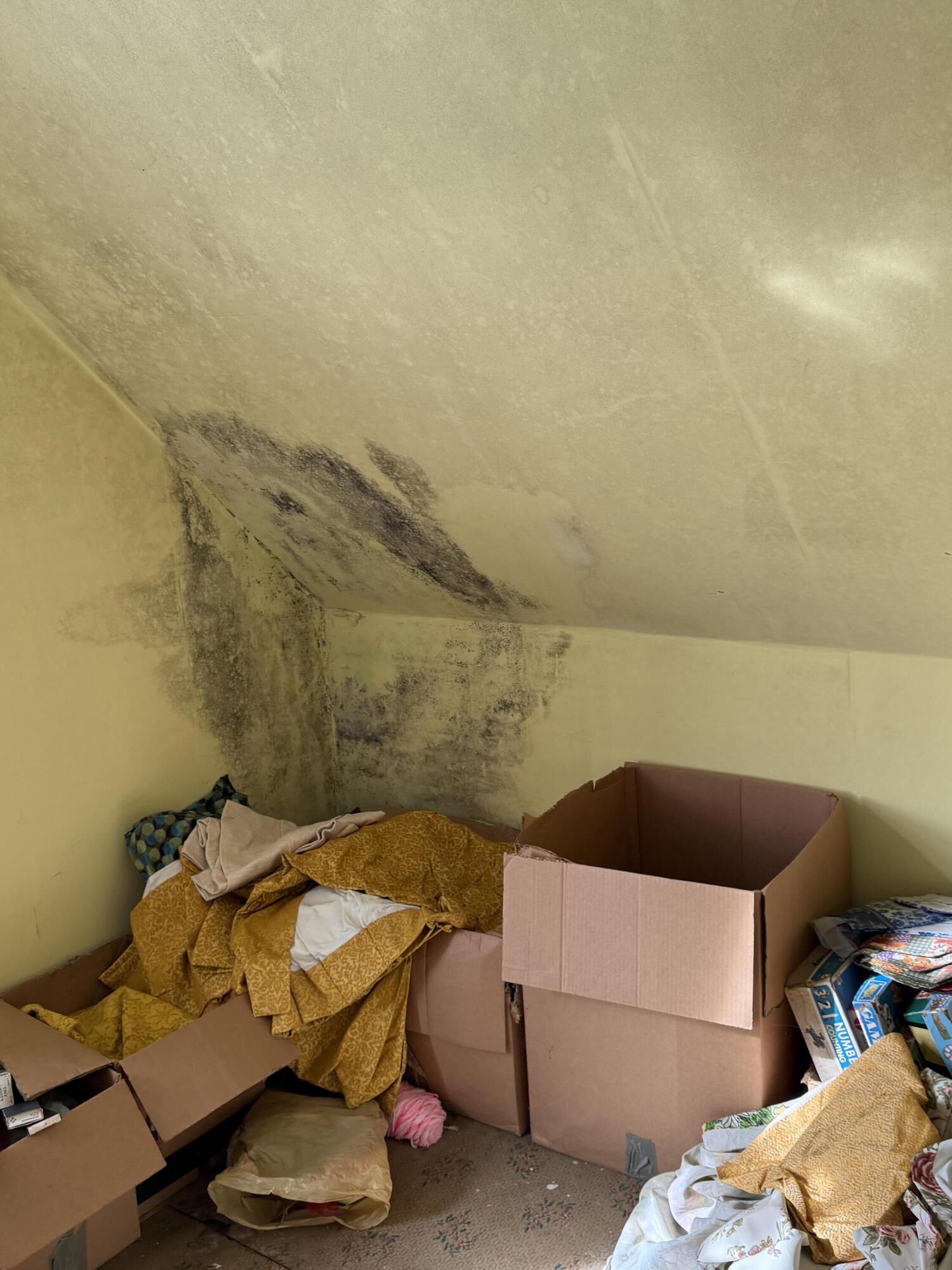 29 Broadway Street Machias ME 04654