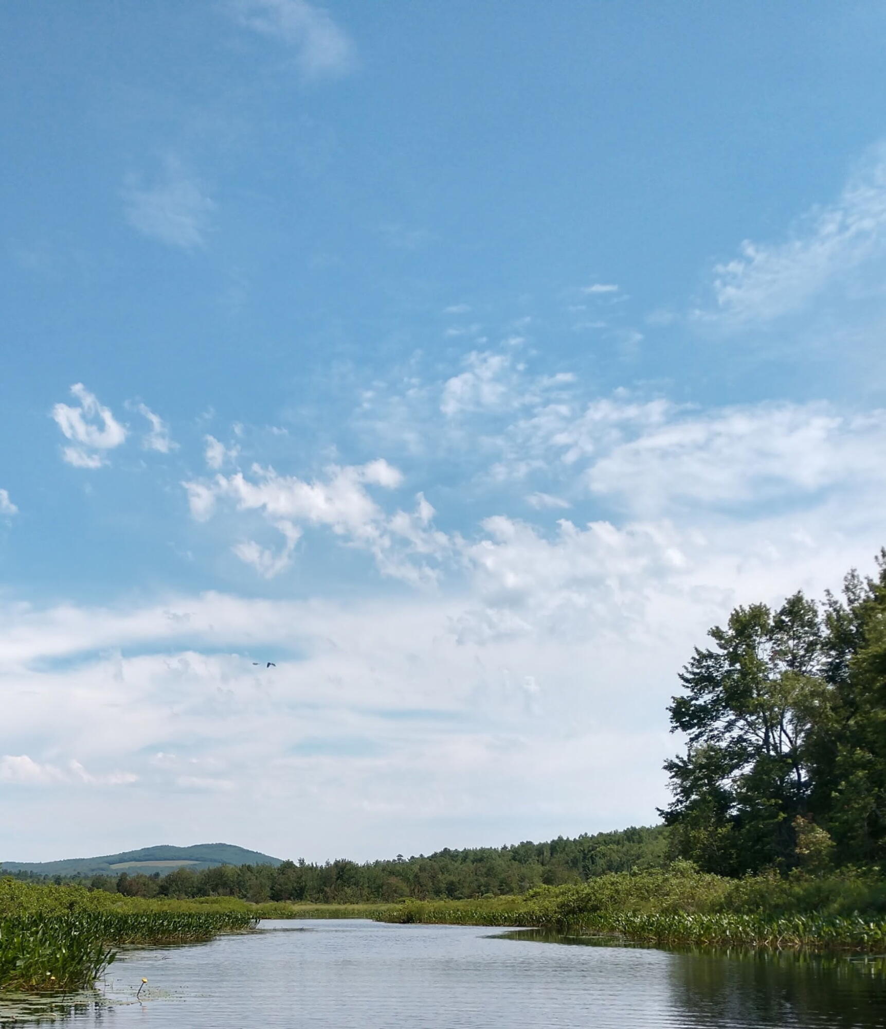 305 Main Street N Searsmont ME 04973