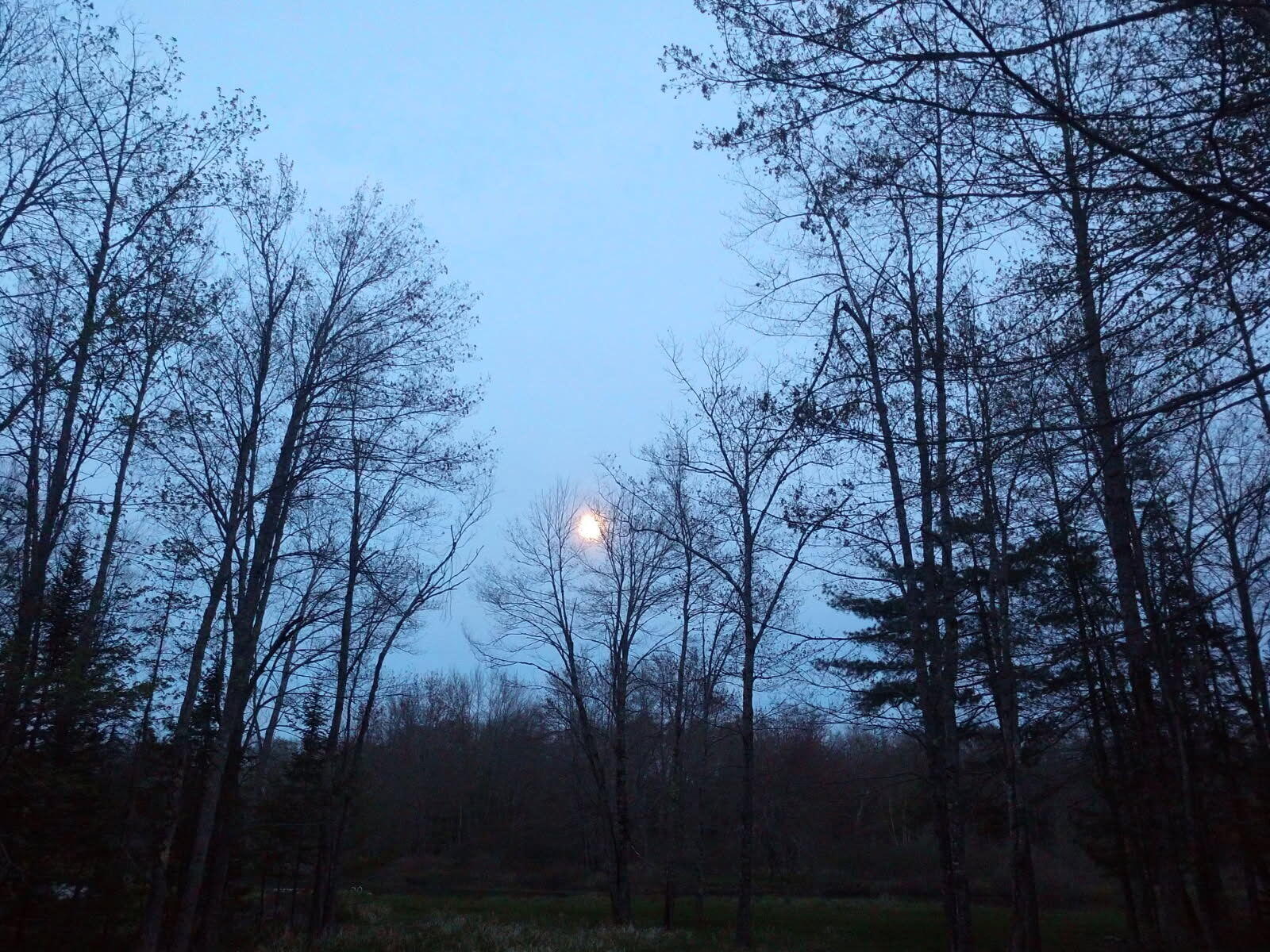 305 Main Street N Searsmont ME 04973