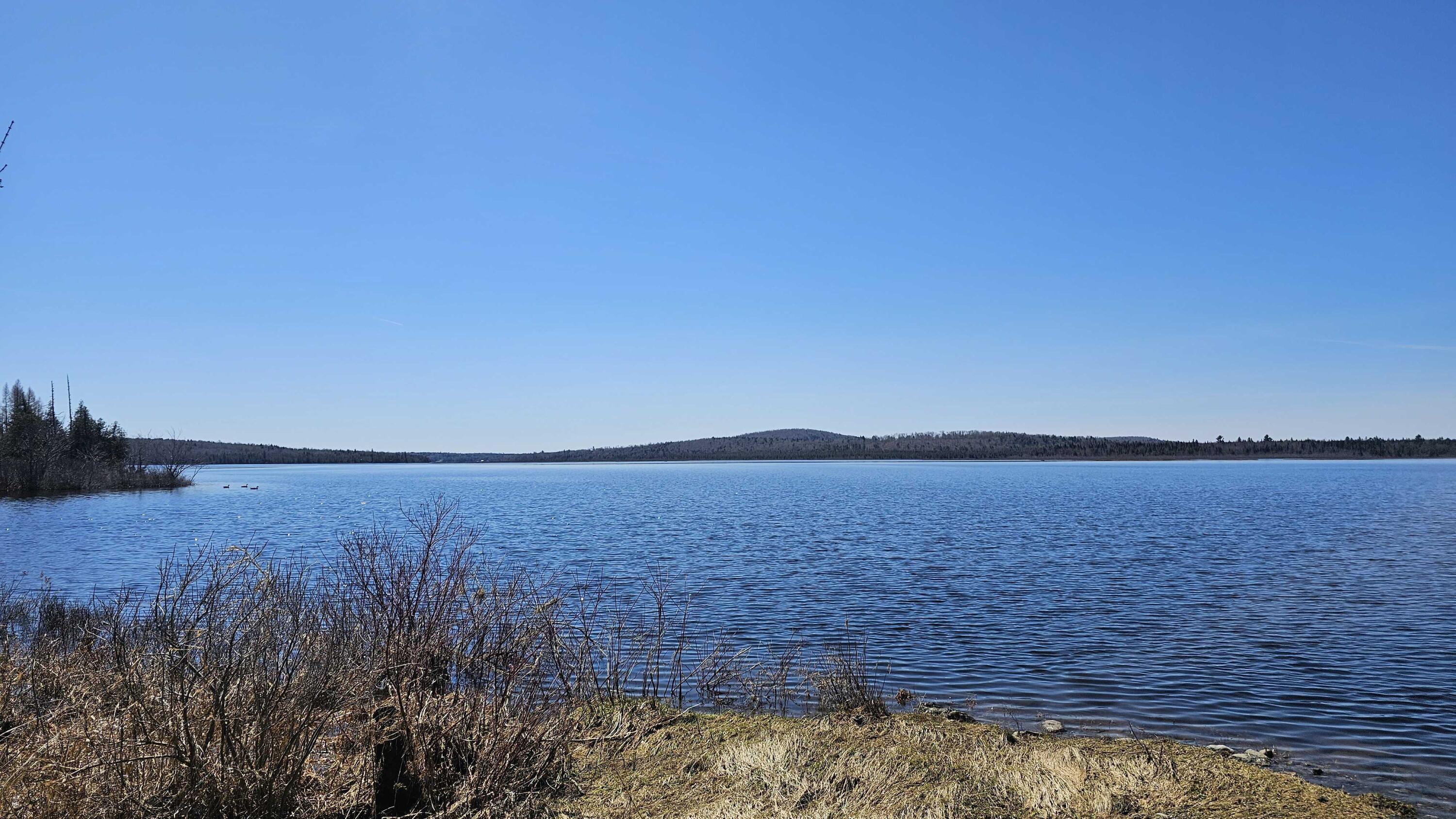 Lot 30 Off Condon Lane Portage Lake ME 04768
