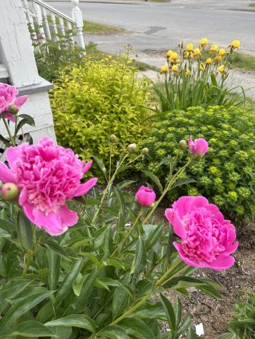 122 Middle Street Farmington ME 04938