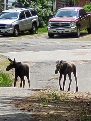 38 Kuvaja Road Greenwood ME 04255