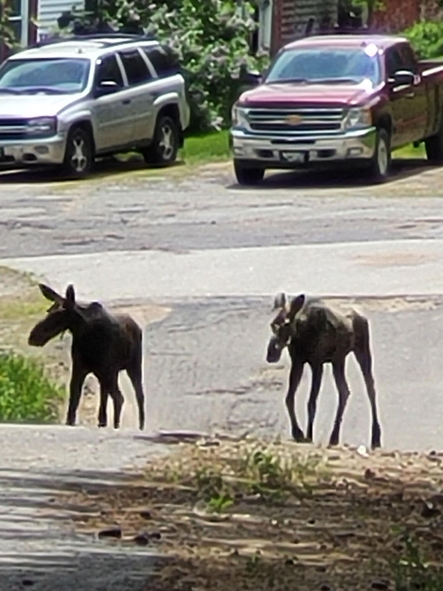 38 Kuvaja Road Greenwood ME 04255