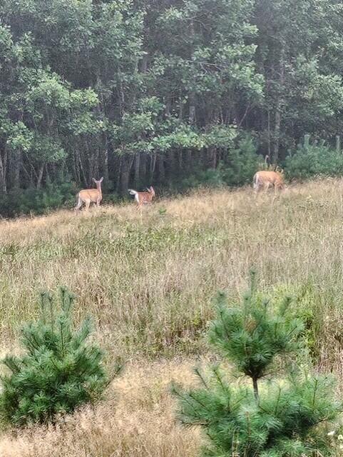 38 Kuvaja Road Greenwood ME 04255