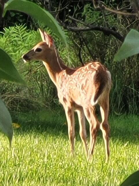 38 Kuvaja Road Greenwood ME 04255