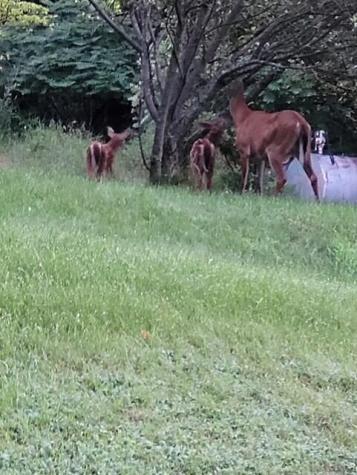 38 Kuvaja Road Greenwood ME 04255