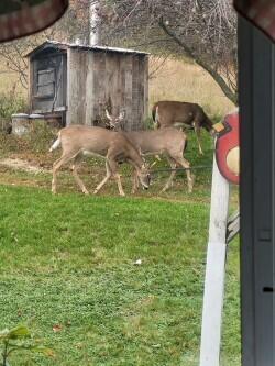 38 Kuvaja Road Greenwood ME 04255