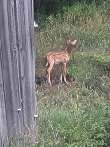 38 Kuvaja Road Greenwood ME 04255