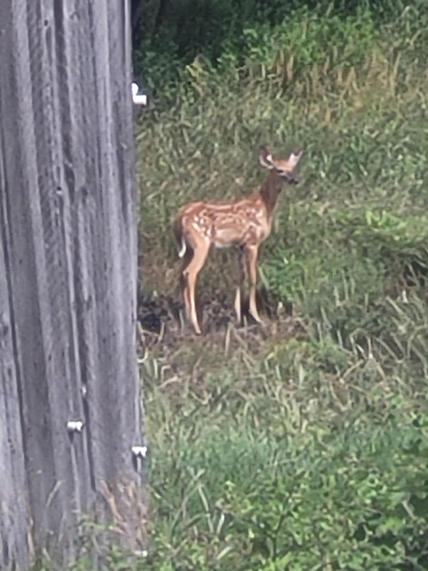 38 Kuvaja Road Greenwood ME 04255