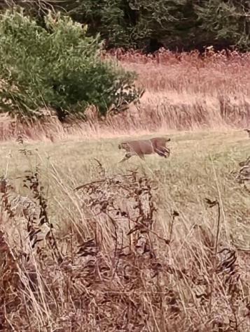 38 Kuvaja Road Greenwood ME 04255