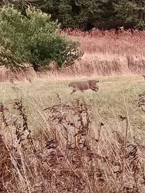 38 Kuvaja Road Greenwood ME 04255