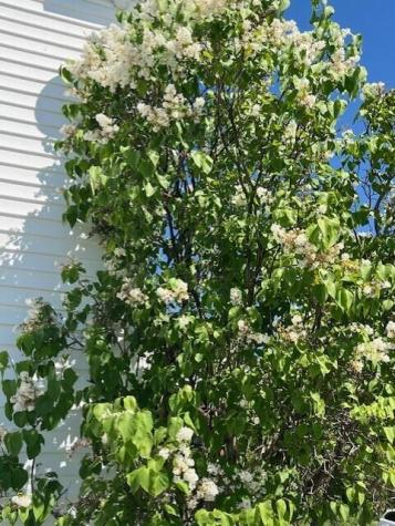 38 Kuvaja Road Greenwood ME 04255