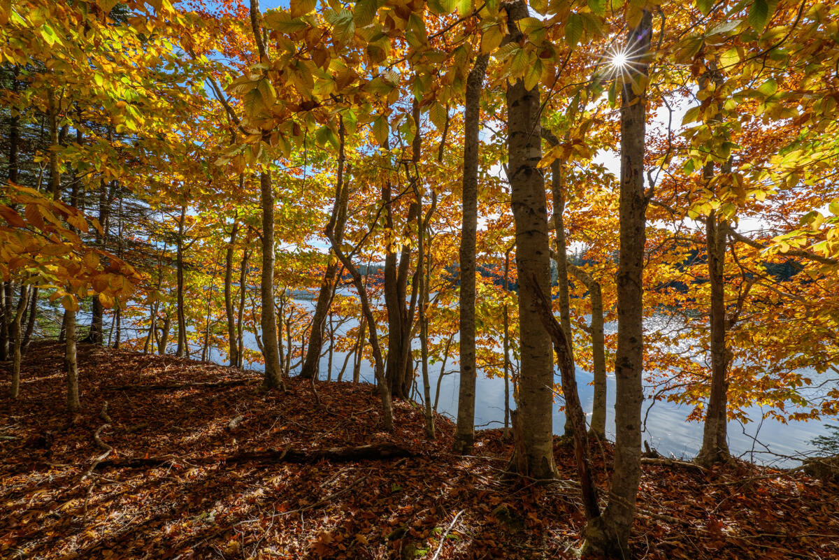 748 Oceanville Road Stonington ME 04681