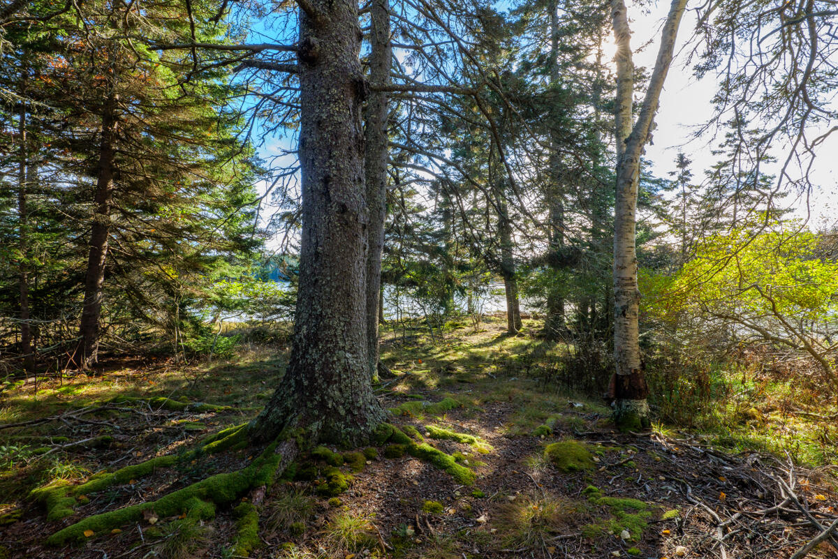 748 Oceanville Road Stonington ME 04681