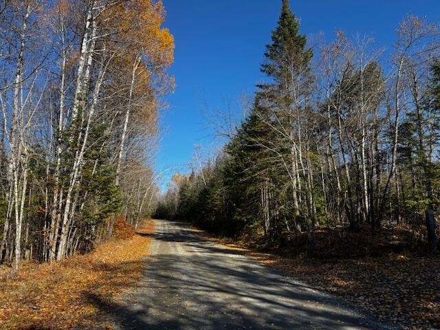 P/o Map 14 L80 Brighton Road Bingham ME 04920