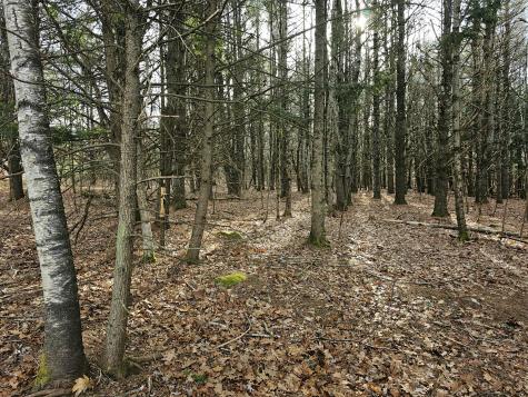 9 Jenny Drive Gray ME 04039