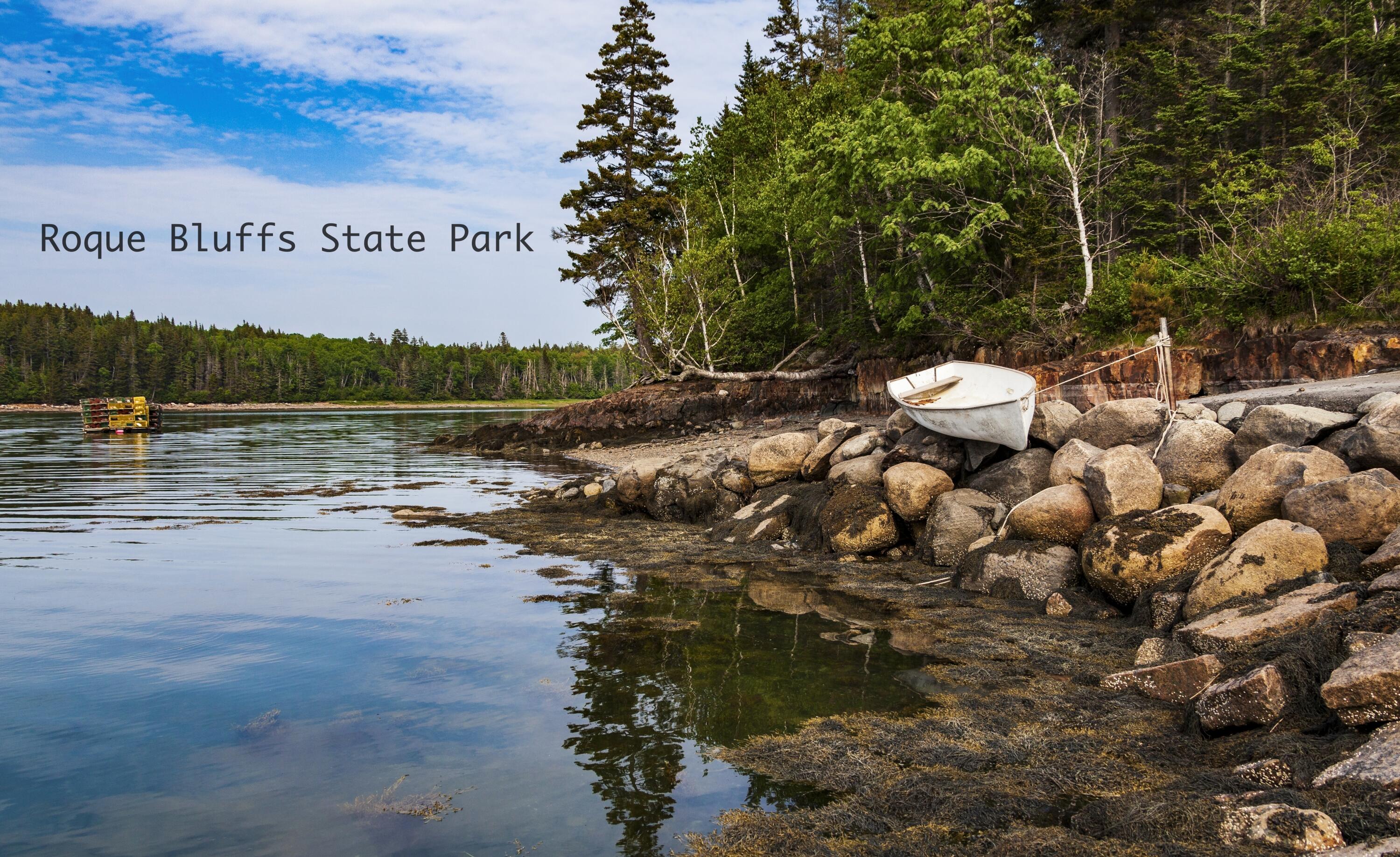 89 Johnson Cove Road Roque Bluffs ME 04654
