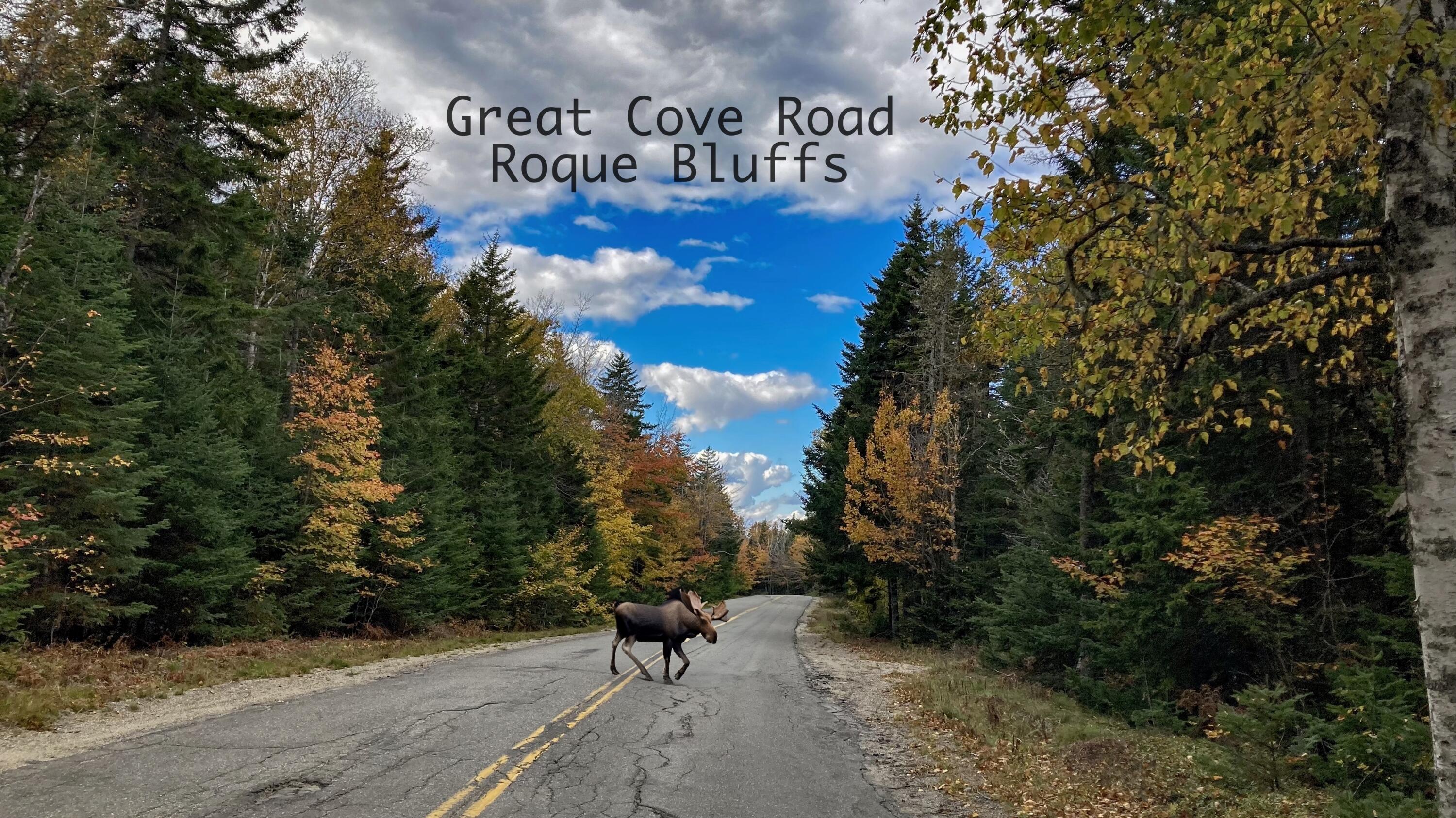 89 Johnson Cove Road Roque Bluffs ME 04654